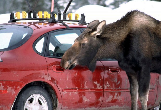  Preventative winter car care can help ensure safe driving.
