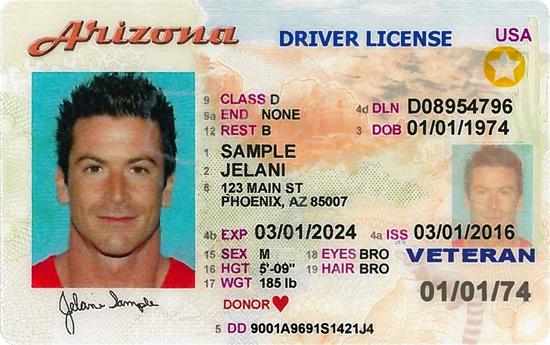 azdriverlicense-travel-id