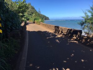 Department of Transportation | Cultural gathering held to celebrate Waioli, Waipa & Waikoko Bridges