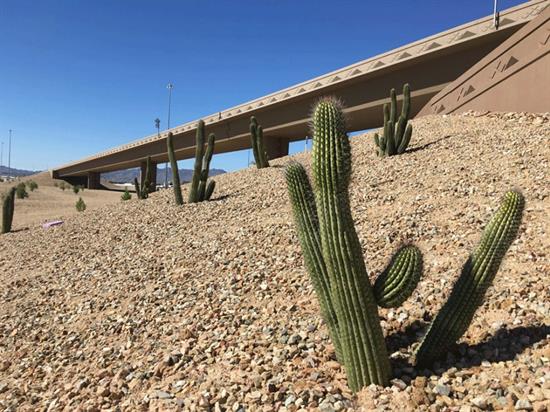 L-303-I-10-Landscaping