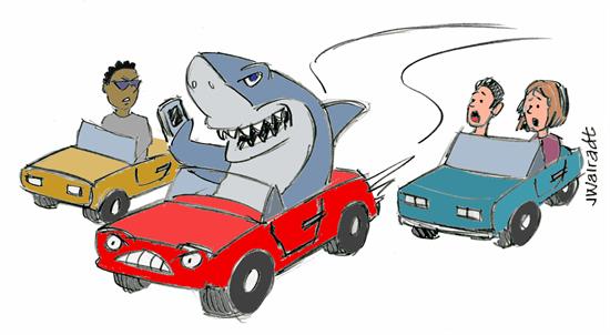 ca_sharkintraffic