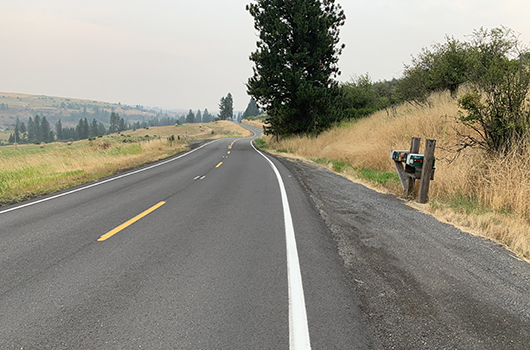 Smoky horizon in ID-13