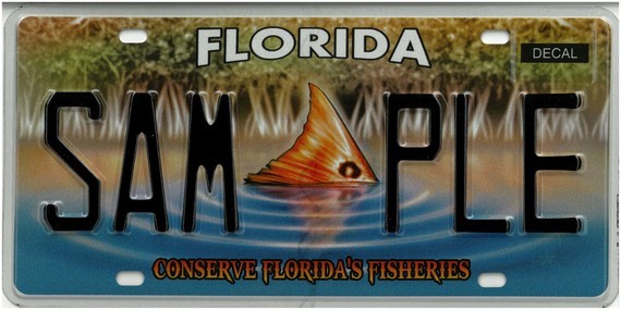 Florida Department of Highway Safety and Motor Vehicles logo