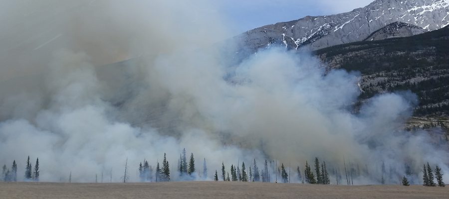 Help prevent human-caused wildfires along roadways